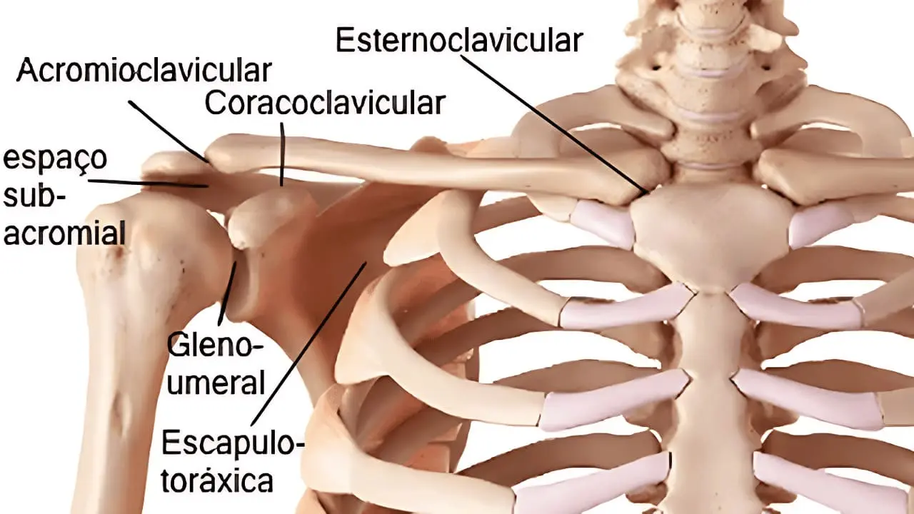 Diagrama da compressão subacromial